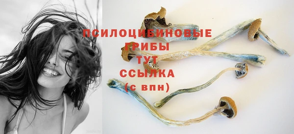 Альфа ПВП Абдулино