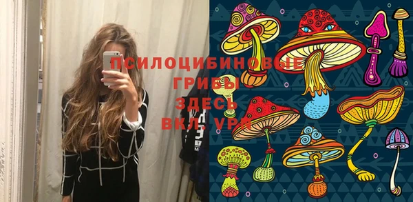 Альфа ПВП Абдулино