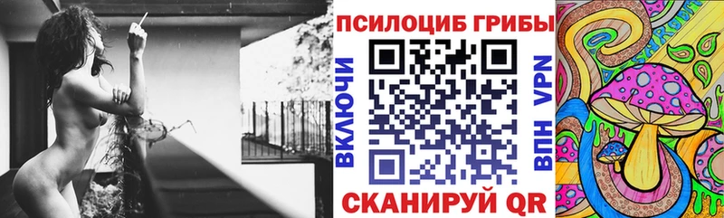 дарнет шоп  Шумерля  Галлюциногенные грибы мицелий 